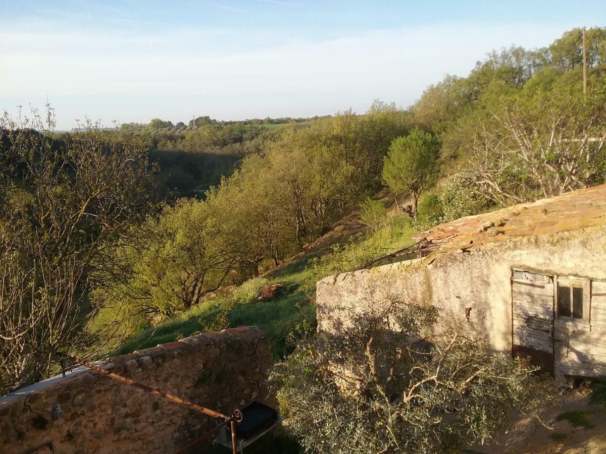 Le Petit Fabre Hotell Montagnac  Exteriör bild